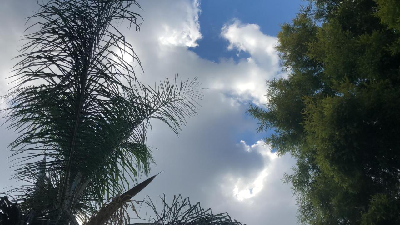 מלון פרטוריה Favour מראה חיצוני תמונה